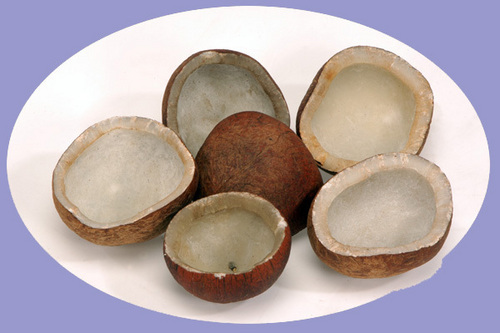 copra coconut