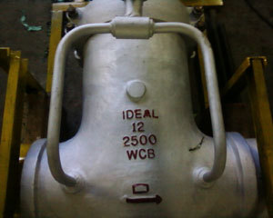 High Pressure Gate Valve 12" 2500# WCB (View 1)