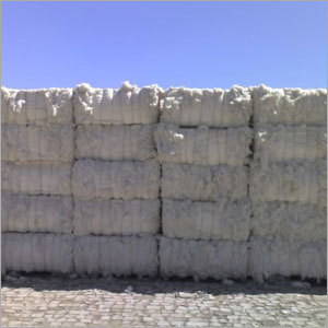 White Cotton Bales