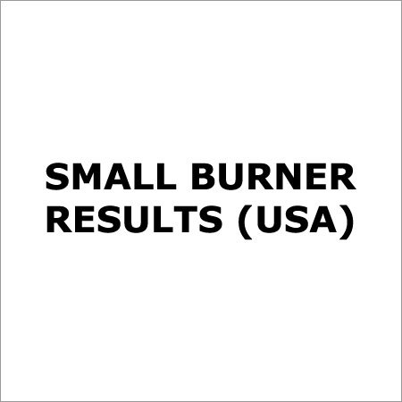 Small Burner Result (USA)