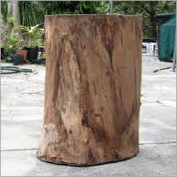 Wood Log