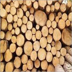 Wood Log