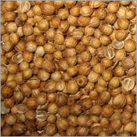 Coriander Seeds