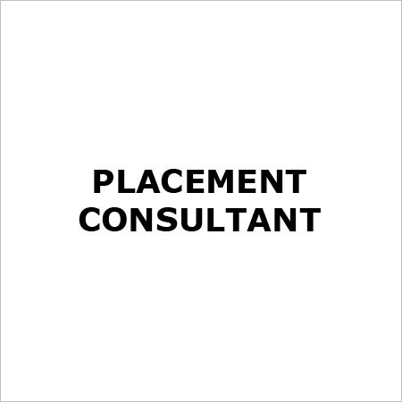 Placement Consultant Services