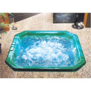 Spa Pool 