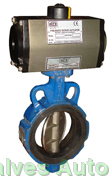 Pneumatic Actuated Butterfly Valve