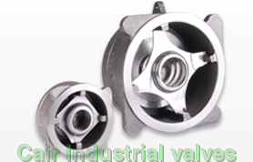 Disc Check Valve