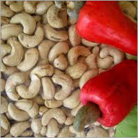 Cashew