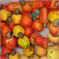 Fresh Cashew Nuts