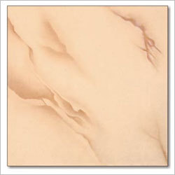 Wooden Glossy Collection Tiles