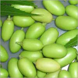 Neem Oil