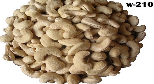 Cashew Nut W 210