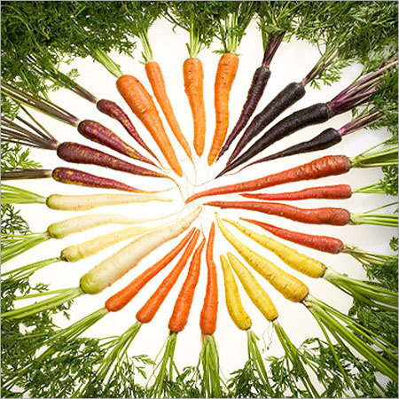 Carrots of Many Colors