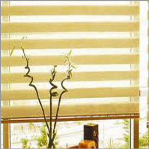 zebra blinds blind