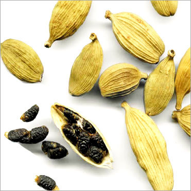 Cardamom