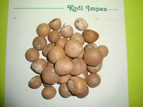 Betel Nuts