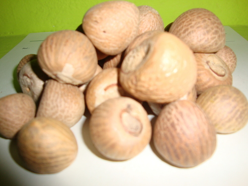 Raw Betel Nuts