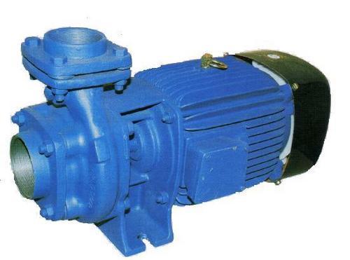 Industrial Monoblock Pump
