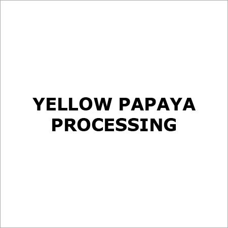 Yellow Papaya Processing - 5-10 Inches, Yellow Green Skin, Red Yellow Flesh | Ripe, Soft Texture, Bulk Cartons, Ready to Use