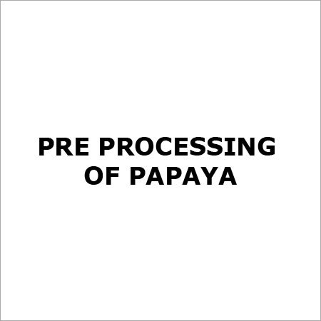 Pre Processing of Papaya - Fresh Selected Variety, Controlled Ripening | Bulk/Custom Packaging, Variable Size Range, Prep for Juice and Preserves