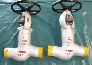 High Pressure Globe valve 3" 1500 # WCB (View-1)