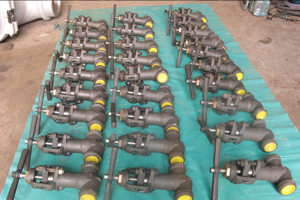 Globe valves 1/2" to 2" 1500# and 2500# (View 3)