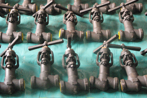 Globe valves 1/2" to 2" 1500# and 2500# (View 2)