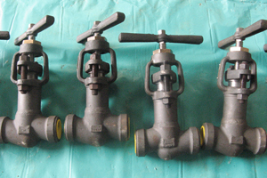 High Pressure Globe valves 1/2