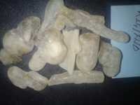 Omani Myrrh Frankincense