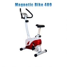 Magnetic Bike 409