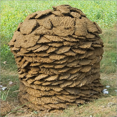 Cow Dung