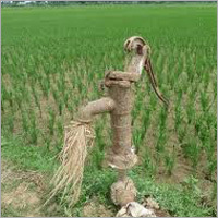 Tube Well
