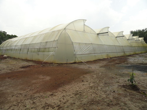 Greenhouse Roofing Structures