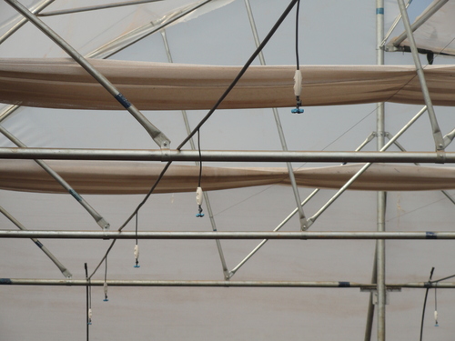 Greenhouse Fogging System