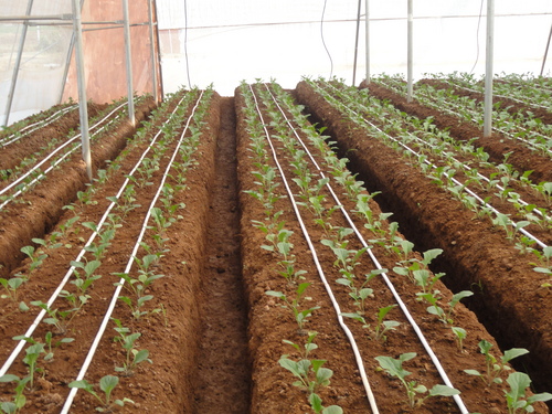 Agro Drip Irrigation System