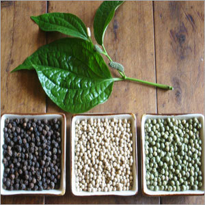 Spices & Seasonings