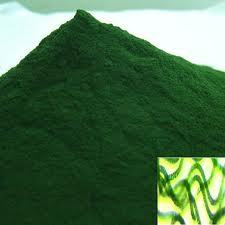 Spirulina