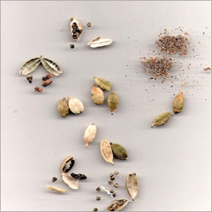 Cardamom Dried Seeds