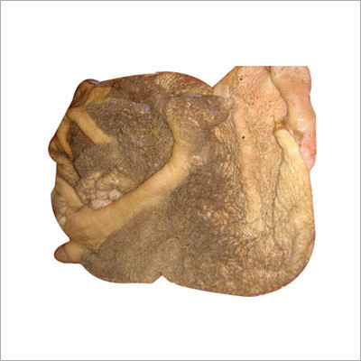 Tripes Meat