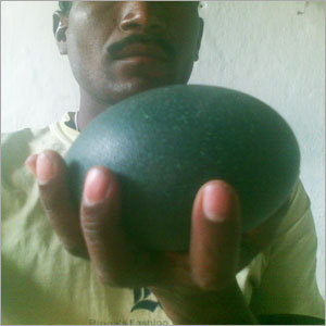 High Protein Emu Eggs