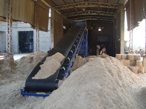 Belt Conveyors Systems