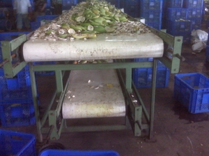 Double Belt Conveyor