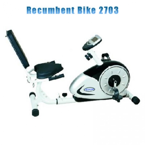 Recumbent Bike 2703