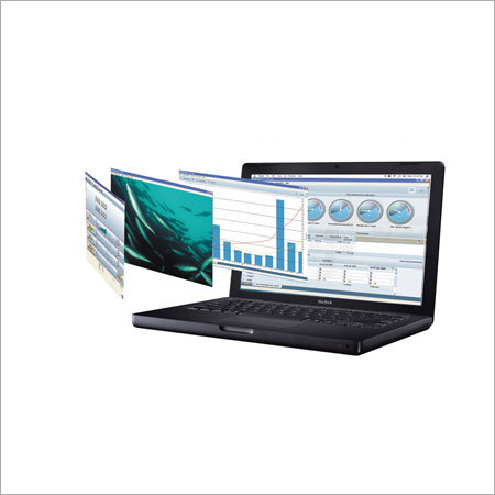 Custom Crm Development