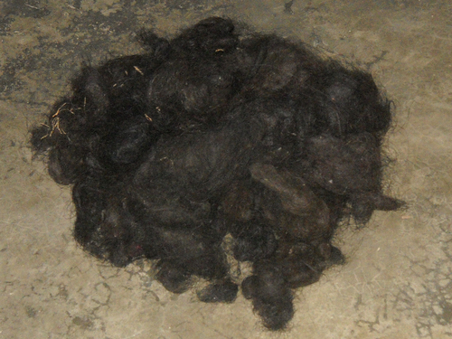 THUTTI HAIRS