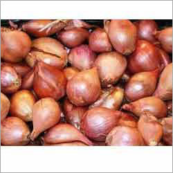 Shallots