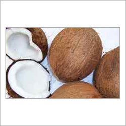 Coconut