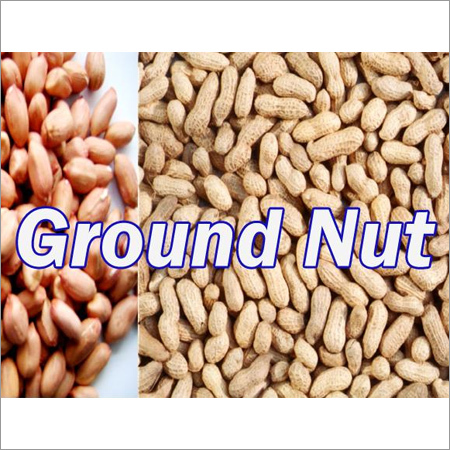Ground Nut
