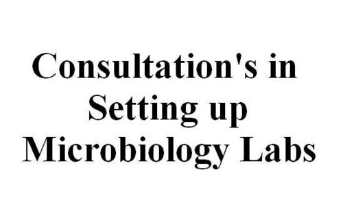 Microbiology Lab Consultant