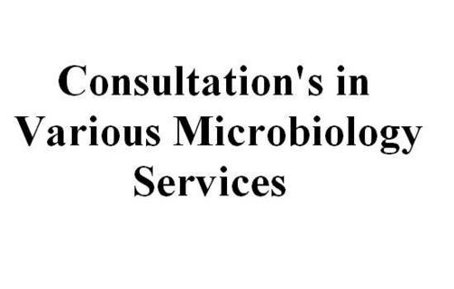 Microbiology Consultation